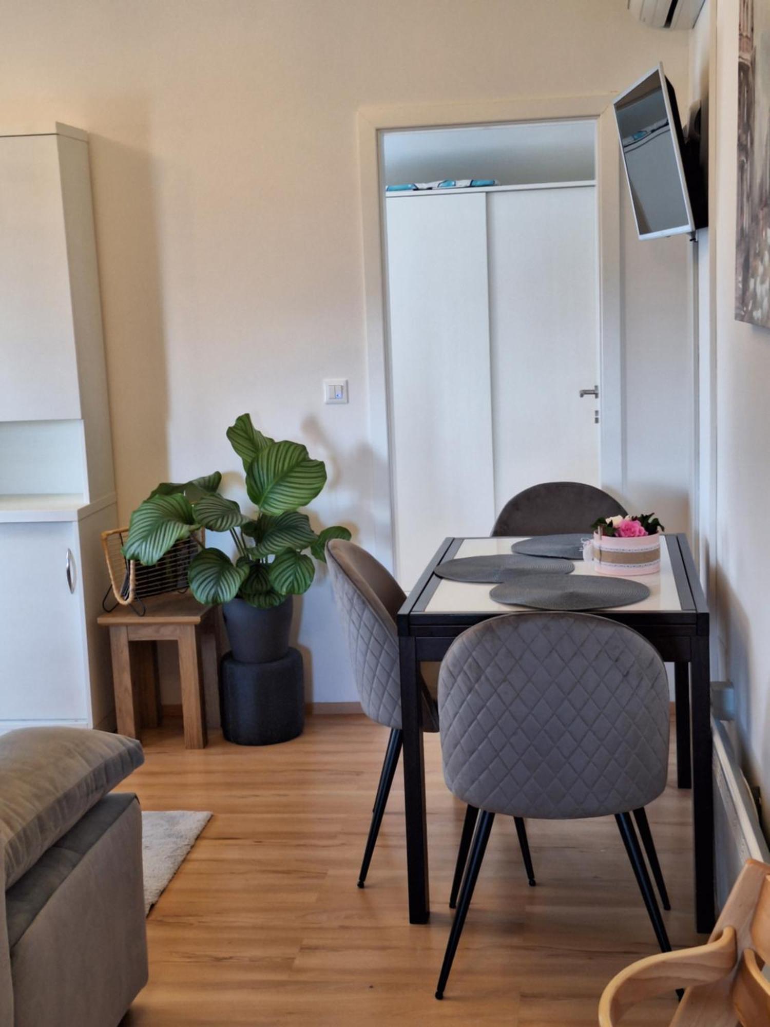 Apartment Dorina 布耶 外观 照片